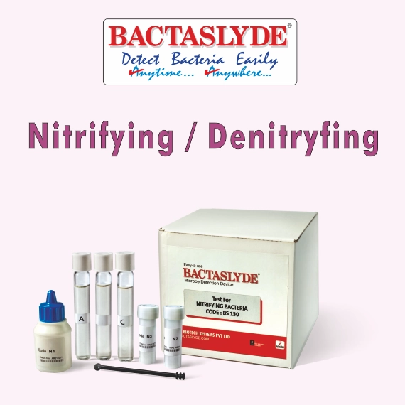 BS130 nitrifikasiya/denitrifikasiya bakteriya test dəsti
